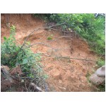 037-landslip behnd LSSC.JPG